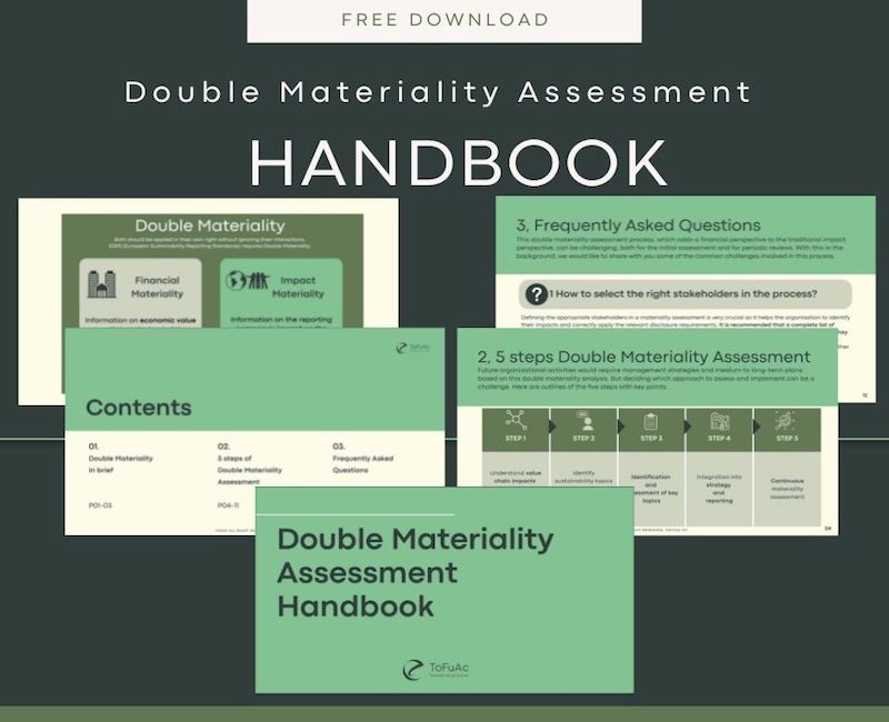 Get Double Materiality Assessment Handbook 
